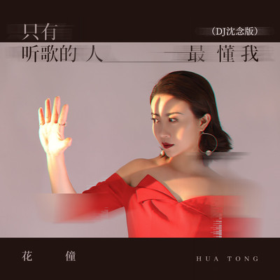 只有听歌的人最懂我 (DJ沈念版)封面