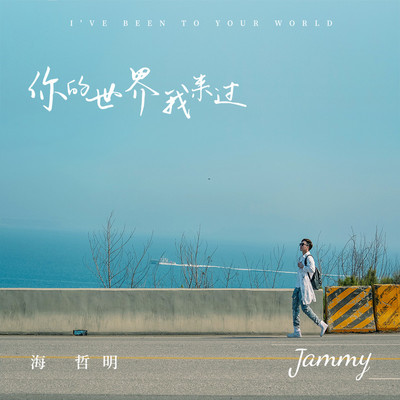 你的世界我来过封面