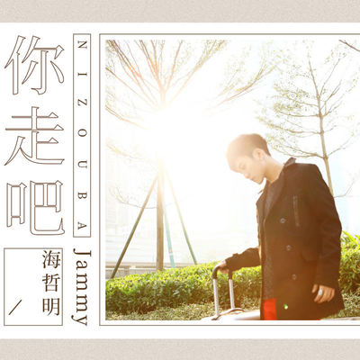 你走吧 (伴奏)封面