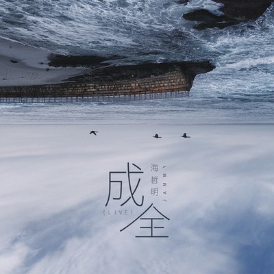 成全(Live)(Live)封面