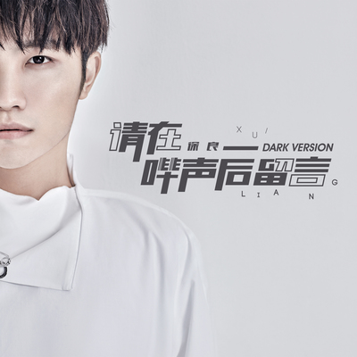 请在哔声后留言(DarkVersion)封面
