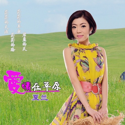 相思情愁(Dj版) - 夏兰封面