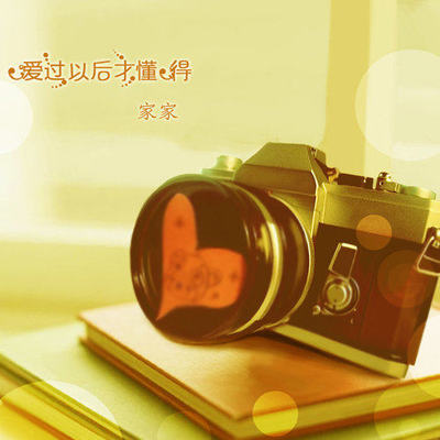 爱过以后才懂得（完整版）封面