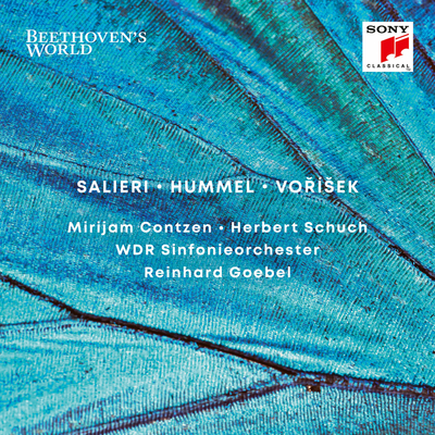 Double Concerto in G Major, Op. 17: II. Thema con Variazioni. Andante con moto封面