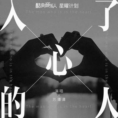 入了心的人 (DJ名龙版) - 苏谭谭封面