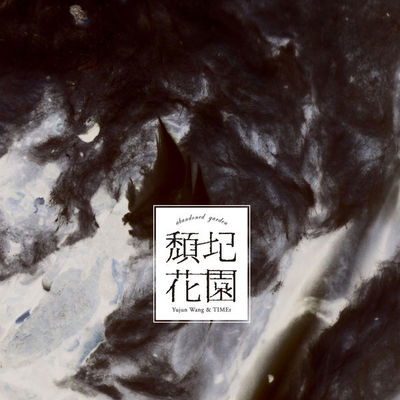 在一颗小星星底下封面