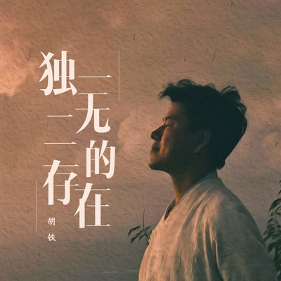 独一无二的存在封面