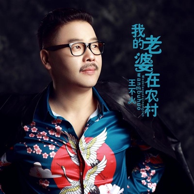 我的老婆在农村(Dj版)封面