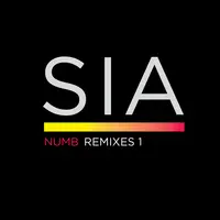 Numb(Paradise Soul Remix Pt 1)