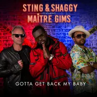 Gotta Get Back My Baby (Maitre Gims Version)