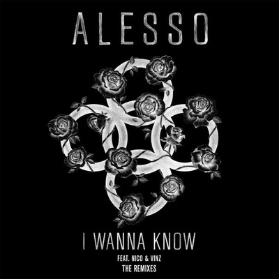 I Wanna Know (Ansolo Remix)封面
