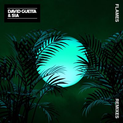Flames (Igor Blaska Remix)封面