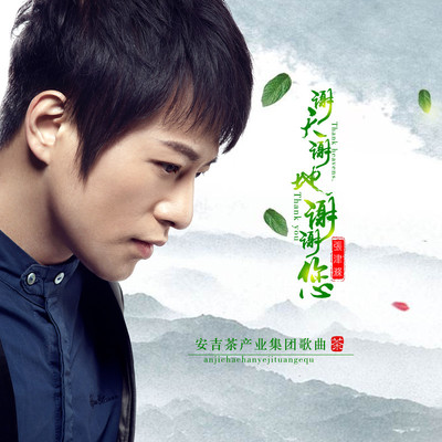 谢天谢地谢谢您(民乐版) - 张津涤封面
