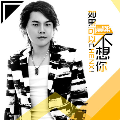 如果可以不想你封面