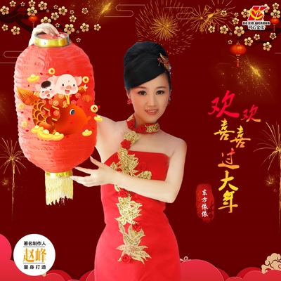 欢欢喜喜过大年（完整版）封面