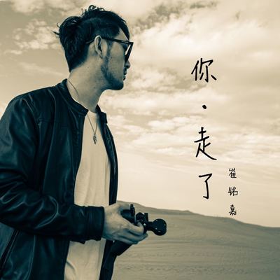 你走了封面