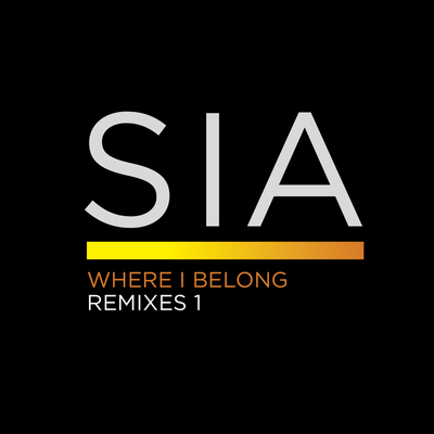 Where I Belong(Roni Size Crush Remix) - Sia封面