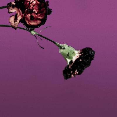You & I (Nobody In The World) (R3hab Remix - Radio Edit)封面