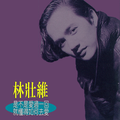 爱上一个人封面