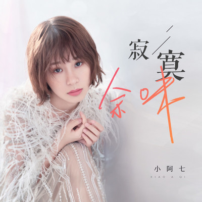 寂寞余味 (DJ九天版)封面