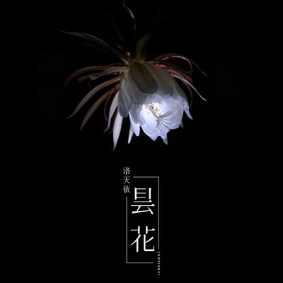 昙花封面