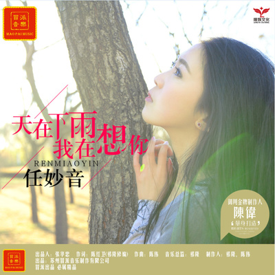 天在下雨我在想你（伴奏）封面