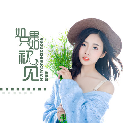 如果只如初见封面