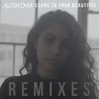 Scars To Your Beautiful (Recycle Jordan Remix)