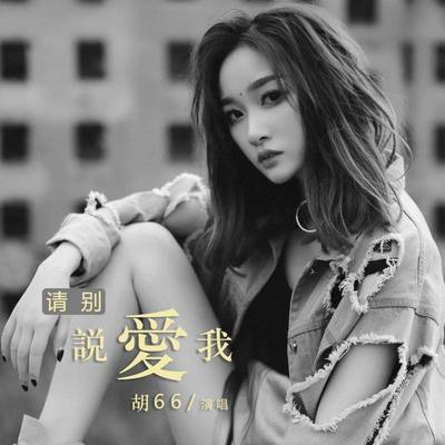 请别说爱我(DJ版) - 胡66封面