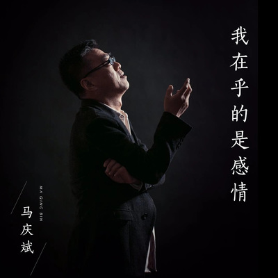我在乎的是感情封面