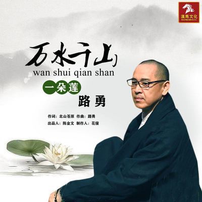 万水千山一朵莲封面