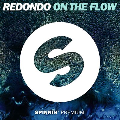 On The Flow (Extended Mix)封面