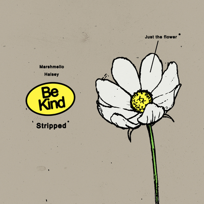 Be Kind(Stripped) - Marshmello / Halsey封面