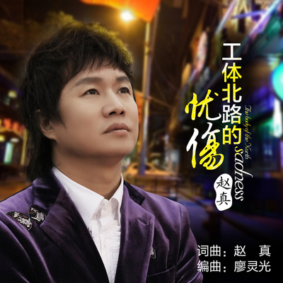 工体北路的忧伤(伴奏版)封面