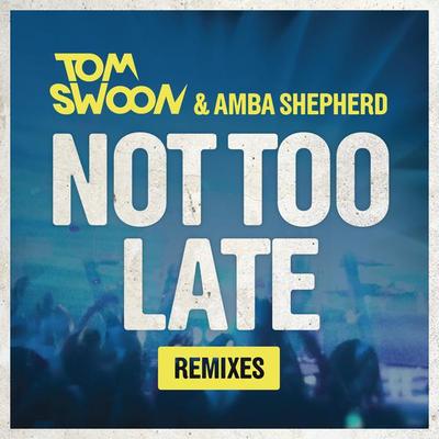 Not Too Late (Maor Levi Remix)封面
