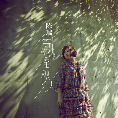 等你到秋天(伴奏)封面