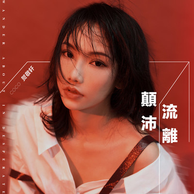 颠沛流离(伴奏)封面