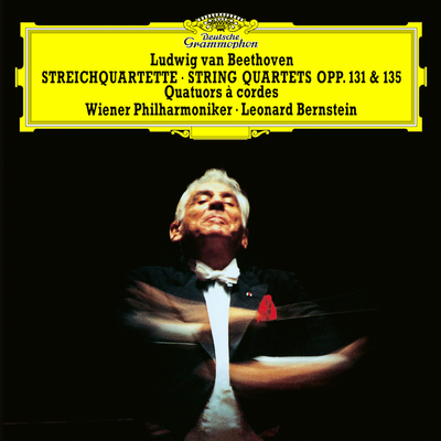 Beethoven: String Quartet No.16 in F Major, Op. 135 - Version for String Orchestra - 2. Vivace(Live)封面