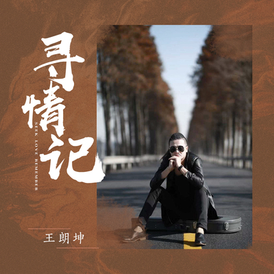 寻情记封面