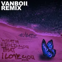 What If I Told You That I Love You(Vanboii Remix)