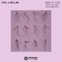 Mad At You  [Extended Mix]