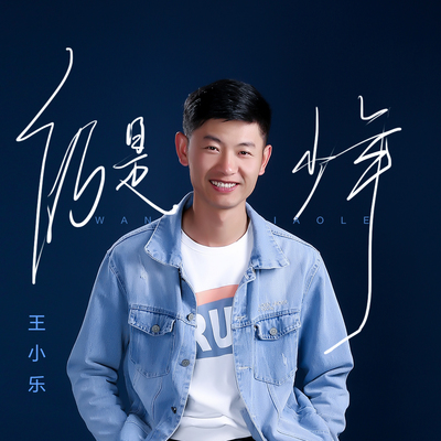 仍是少年封面