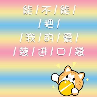 能不能把我的爱装进口袋封面
