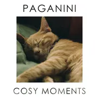 Paganini: Violin Concerto No. 1 in D Major, Op. 6, MS. 21 - II. Adagio