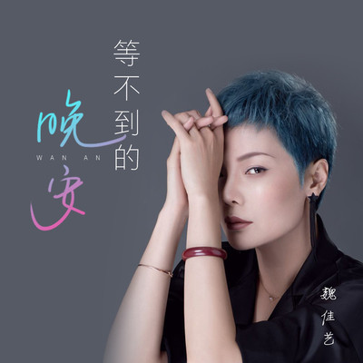 等不到的晚安封面