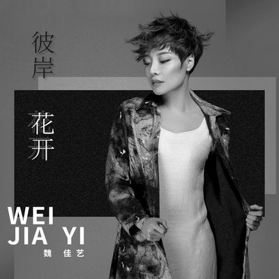 彼岸花开 (DJ王立峰版伴奏) - 魏佳艺封面