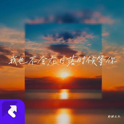 我也不会在日落时等你(Remix)封面