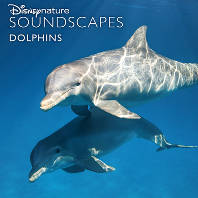 Dolphins Surfacing and Swimming封面