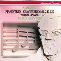 Piano Trio No. 2 in E-Flat Major, Op. 100 D. 929 - II. Andante con moto
