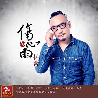 伤心的雨封面